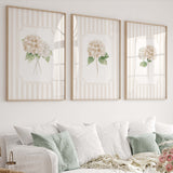 Beige hydrangea printable wall art set of 6 neutral botanical prints for living room and bedroom decor