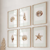 Coastal seashell printable wall art set of 6 with sage green stripes.