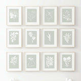 Abstract white bontanical print with leaves, pear, fruit, flower with sage green background for neutral home decor, abstract home decor.