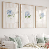 Digital botanical wall art set of 6 hydrangea prints instant download farmhouse decor