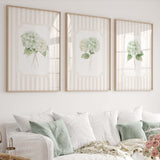 White hydrangea floral wall art printable set of 6 beige striped botanical prints digital download