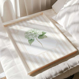 Beige hydrangea watercolor artwork floral botanical prints digital set of 6
