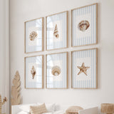 Set of six coastal wall art prints with seashells starfish and blue stripes for beach nursery bathroom and seaside home decor.