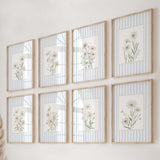 Daisy wall art printable set of 8 with pastel blue stripes and botanical illustration.

