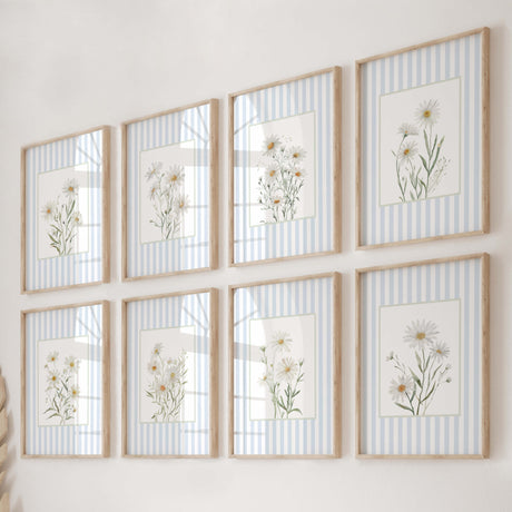 Daisy wall art printable set of 8 with pastel blue stripes and botanical illustration.


