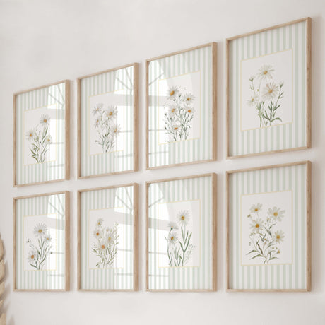 Botanical daisy printable art collection for farmhouse or boho style homes

