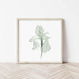Set of 4  sage green flower with a transparent effect printable for neutral home decor.