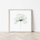 Sage green flower with a transparent effect poster for neutral home decor.