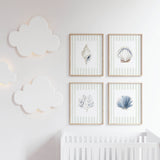 Minimalist watercolor seashell and coral art set for coastal home interiors.