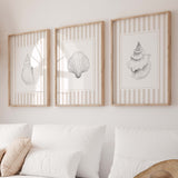 Beige striped seashell printable wall art set of 3 coastal digital downloads