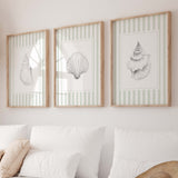 Printable seashell art set in sage green striped background for beach house decor