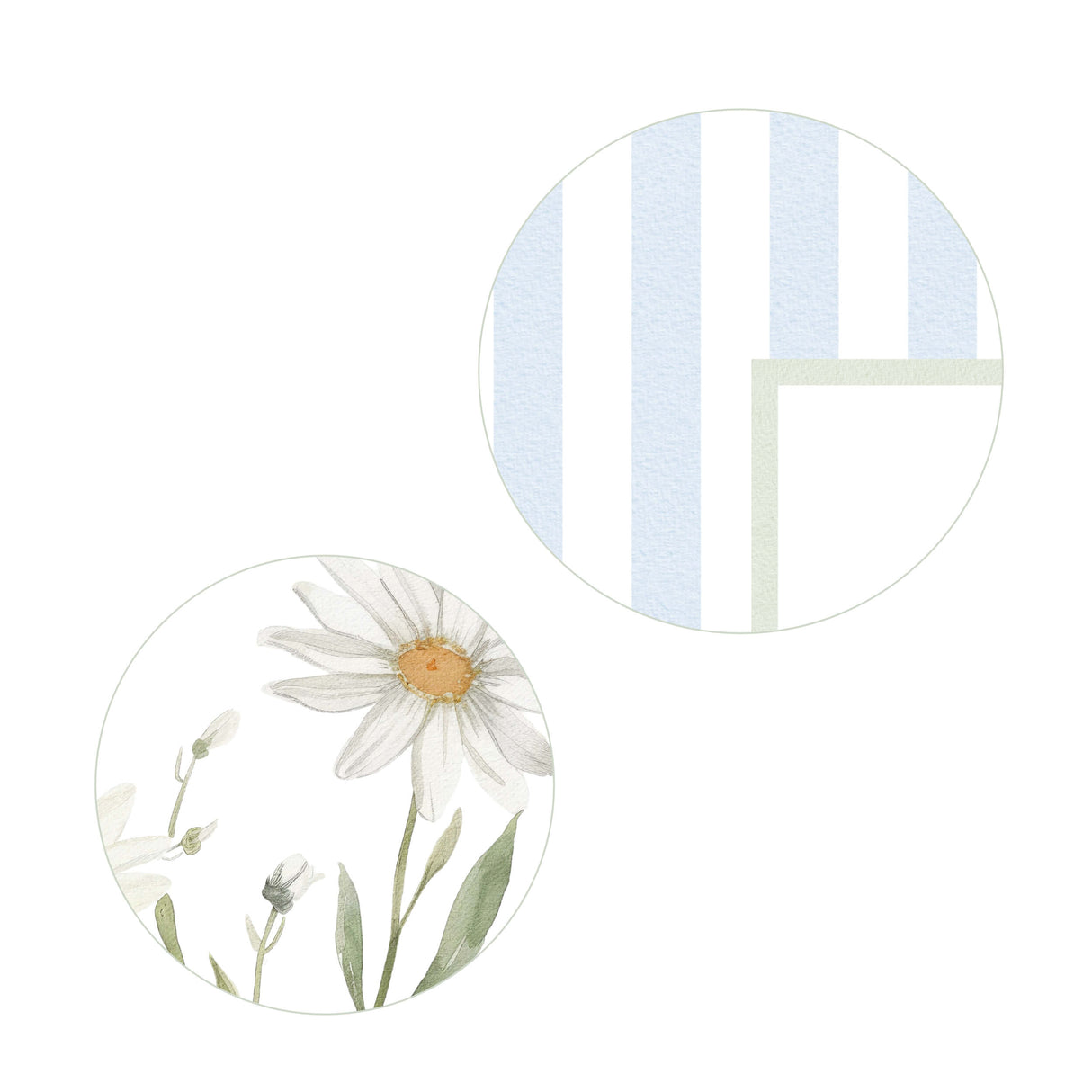 Cottagecore nursery wall decor with vintage daisy flower prints.

